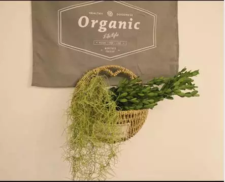 你的家配電箱，所以裝修很漂亮！